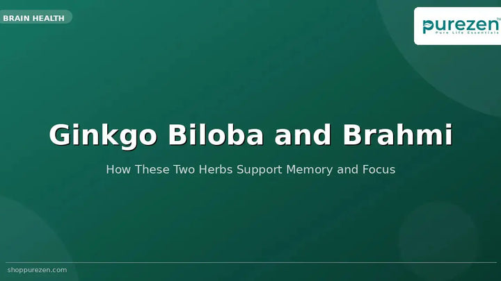 Ginkgo Biloba and Brahmi: How These Two Herbs Support Memory and Focus