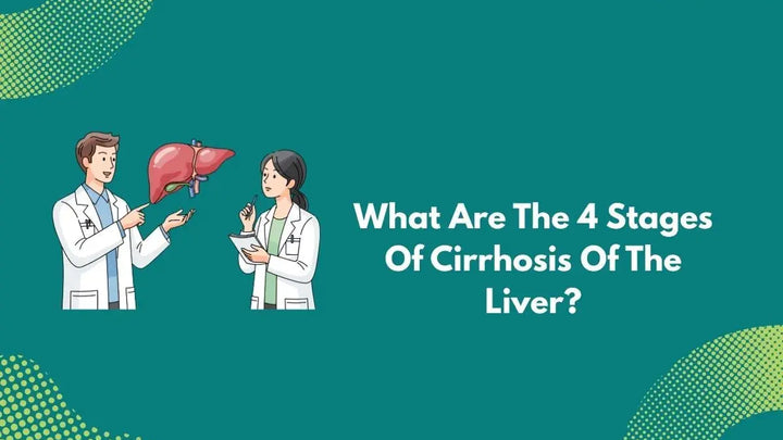 What Are The 4 Stages Of Cirrhosis Of The Liver?