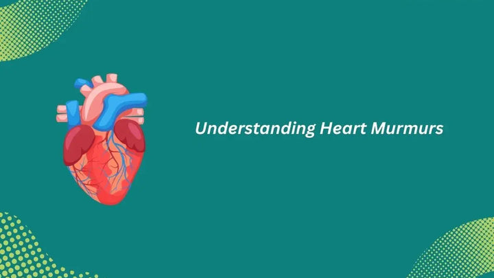 Heart Murmurs