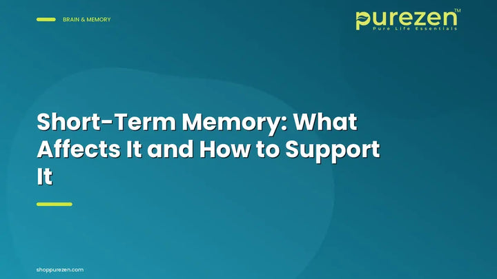 Short-Term Memory: What Affects It and How to Support It