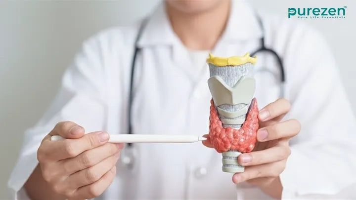 Feeling Off Lately? It Could Be Your Thyroid (And Hereโs What You Can Do)