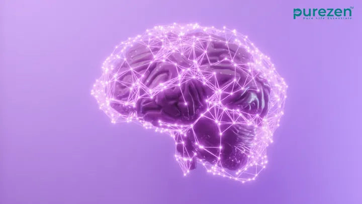Understanding Brain Health in the Modern Age