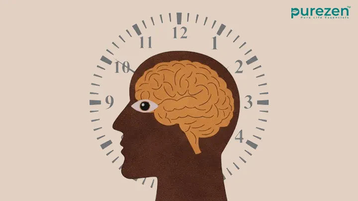 Your Bodyβs Clock: How to Align Your Life with Your Circadian Rhythm