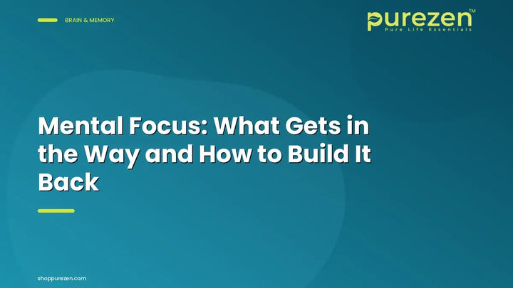 Mental Focus: What Gets in the Way and How to Build It Back
