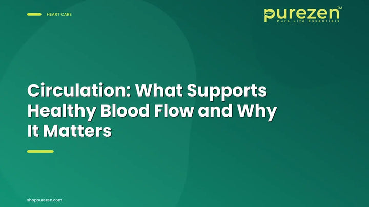 Circulation: What Supports Healthy Blood Flow and Why It Matters
