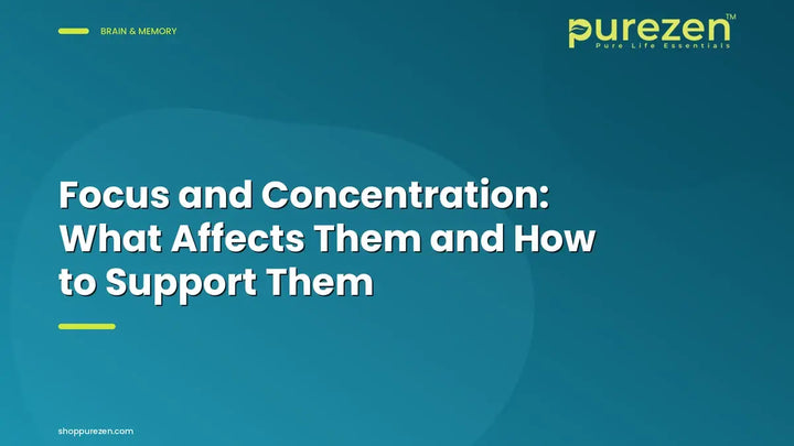 Focus and Concentration: What Affects Them and How to Support Them