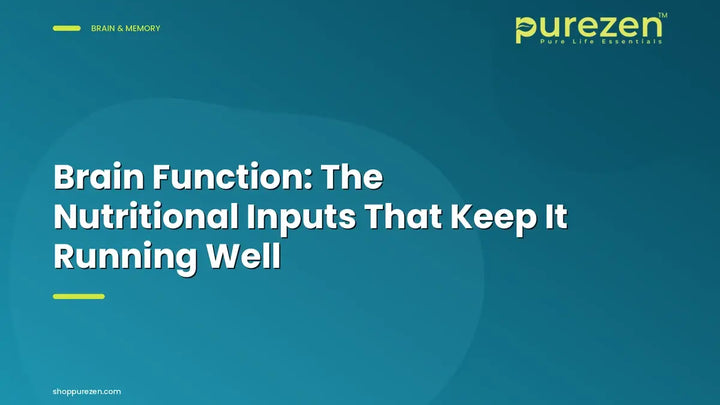 Brain Function: The Nutritional Inputs That Keep It Running Well