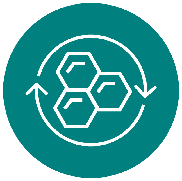 <div class="metafield-rich_text_field"><ul><li><strong>Helps Maintain Collagen Levels </strong><em><strong>: </strong></em>Collagen isn’t forever—unless you give it a boost! <strong>Vitamin C</strong> fuels collagen production, <strong>Grape Seed</strong> and <strong>Green Tea</strong> protect it, and <strong>Hydrolyzed Collagen</strong> replenishes what time takes away. Glow up, stay up!</li></ul></div>