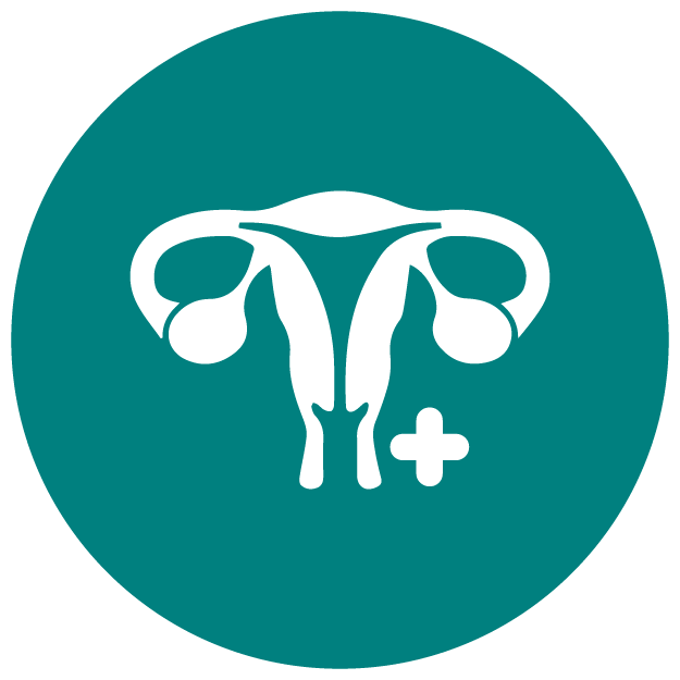 <div class="metafield-rich_text_field"><ul><li><strong>Helps Maintain Reproductive Wellness</strong><em><strong>:</strong></em> Your reproductive system deserves a <strong>VIP pass to wellness</strong>—<strong>Ashwagandha and Ashoka Bark</strong> nurture hormonal harmony, while <strong>Zinc, Selenium, and Vitamin D3</strong> support ovarian health and metabolic balance.</li></ul></div>