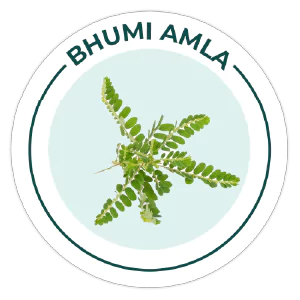 Bhumi Amla logo with a leaf illustration on a light blue background