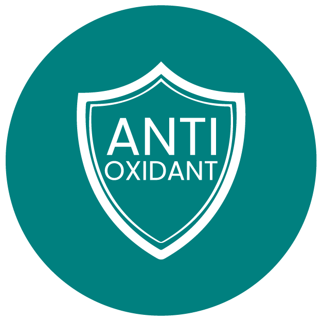<div class="metafield-rich_text_field"><ul><li><strong>Provides Antioxidant Support</strong><em><strong>:</strong></em> Free radicals are like party crashers for your healthā<strong>Green Tea, Grape Seed, and Turmeric</strong> kick them out, while <strong>NAC and Vitamin E</strong> make sure they donāt come back. Your body, protected and powered up!</li></ul></div>
