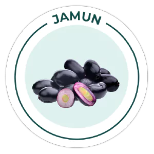 Purezen Illustration of jamun fruits with a label indicating 'JAMUN' on a light blue background.