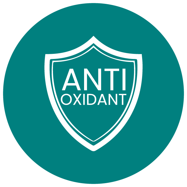 <div class="metafield-rich_text_field"><ul><li><strong>Supports Healthy Skin</strong> <em><strong>: </strong></em>Your skin faces stress, pollution, and that occasional ‘bad decisions’ weekend. <strong>L-Glutathione</strong> and <strong>Curcumin</strong> fight oxidative damage, while <strong>Biotin, Amla, and Vitamin E</strong> keep your skin fresh, firm, and oh-so-radiant.</li></ul></div>