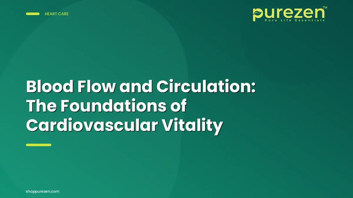 Blood Flow and Circulation: The Foundations of Cardiovascular Vitality