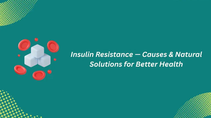 Insulin Resistance — Causes & Natural Solutions