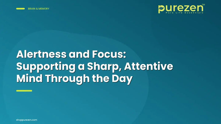 Alertness and Focus: Supporting a Sharp, Attentive Mind Through the Day
