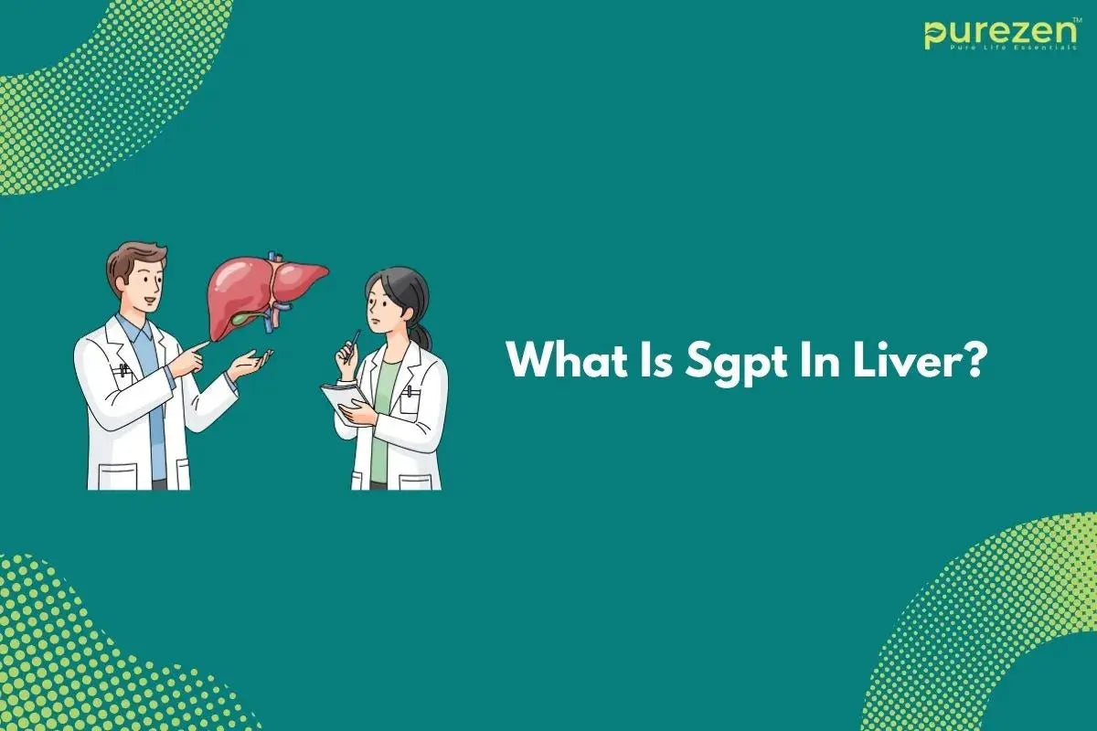 What Is Sgpt In Liver? – Purezen