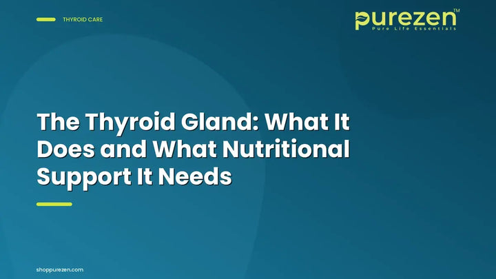 The Thyroid Gland: What It Does and What Nutritional Support It Needs