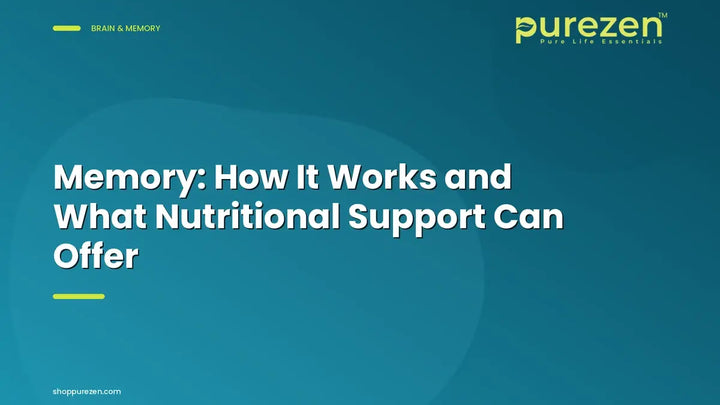 Memory: How It Works and What Nutritional Support Can Offer
