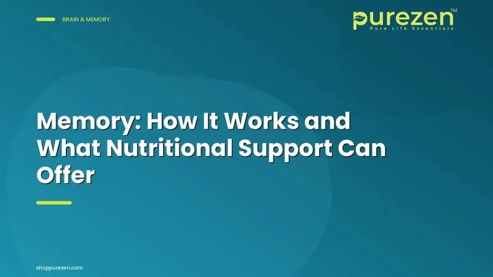 Memory: How It Works and What Nutritional Support Can Offer