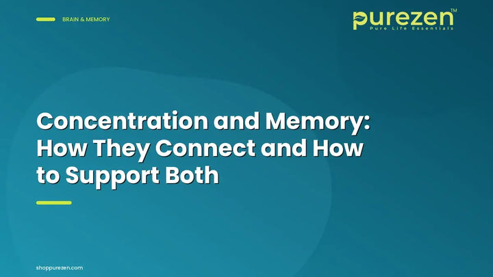 Concentration and Memory: How They Connect and How to Support Both