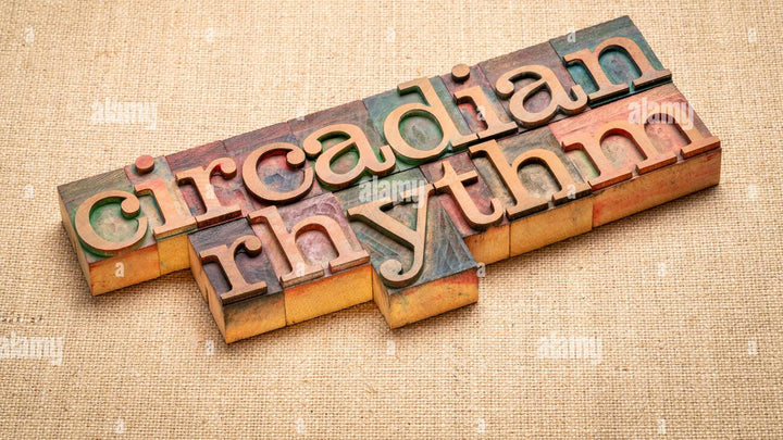 Your Body’s Clock: How to Align Your Life with Your Circadian Rhythm