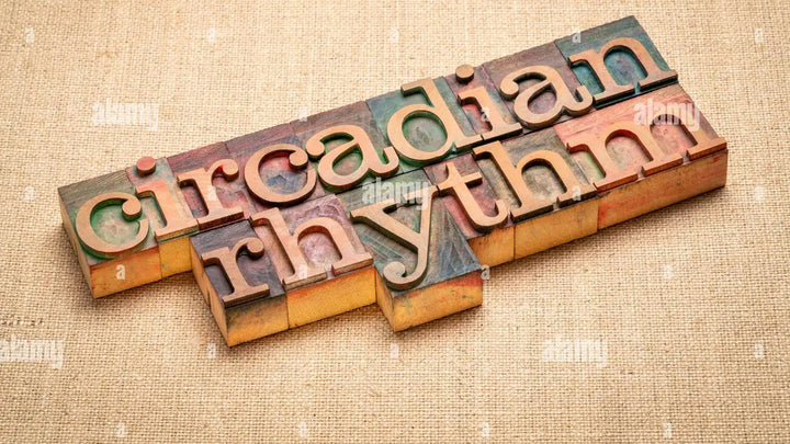 Your Body’s Clock: How to Align Your Life with Your Circadian Rhythm