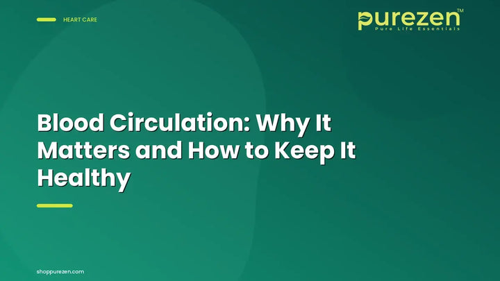 Blood Circulation: Why It Matters and How to Keep It Healthy