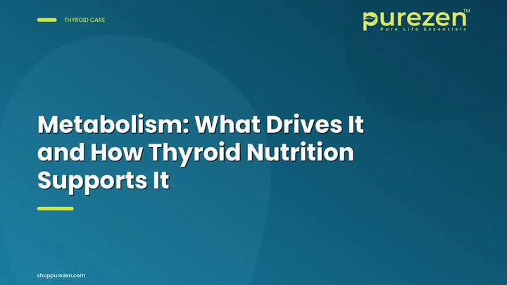 Metabolism: What Drives It and How Thyroid Nutrition Supports It