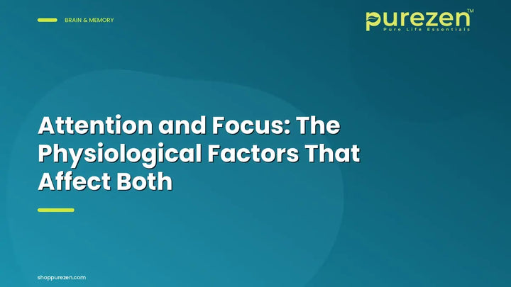 Attention and Focus: The Physiological Factors That Affect Both