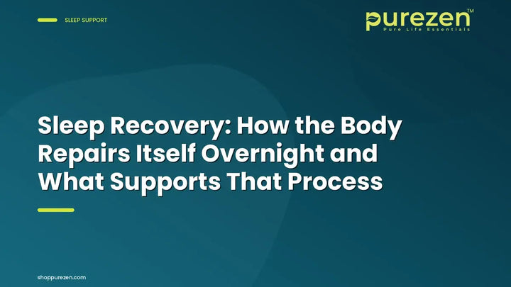 Sleep Recovery: How the Body Repairs Itself Overnight and What Supports That Process