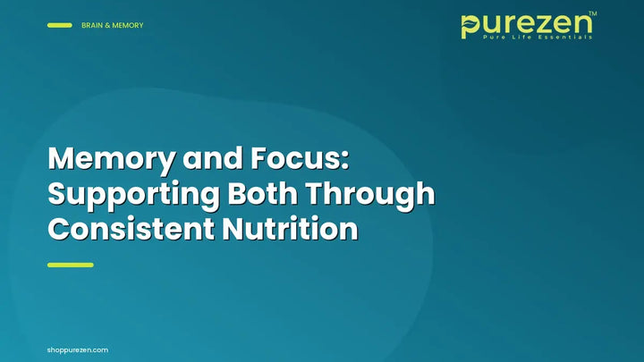 Memory and Focus: Supporting Both Through Consistent Nutrition