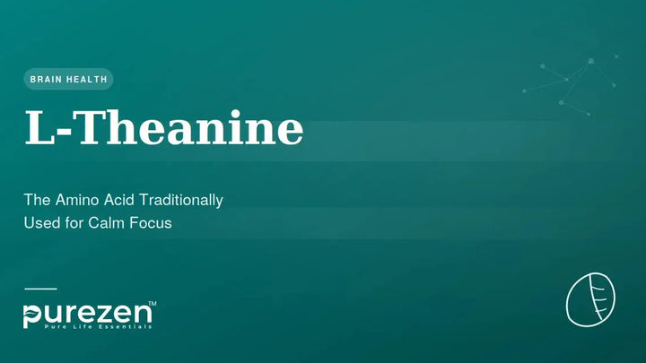 L-Theanine: The Amino Acid Traditionally Used for Calm Focus