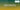 What are free radicals