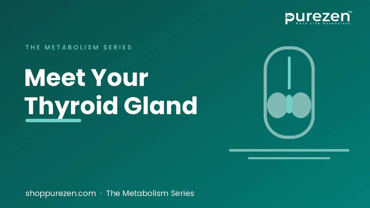 Thyroid Gland: Where It Is, What It Does, Diagram, and Thyroid Kya Hota Hai