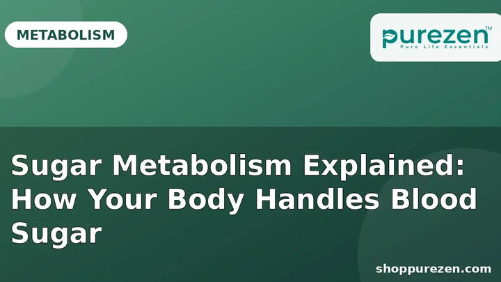 Sugar Metabolism Explained: How Your Body Handles Blood Sugar